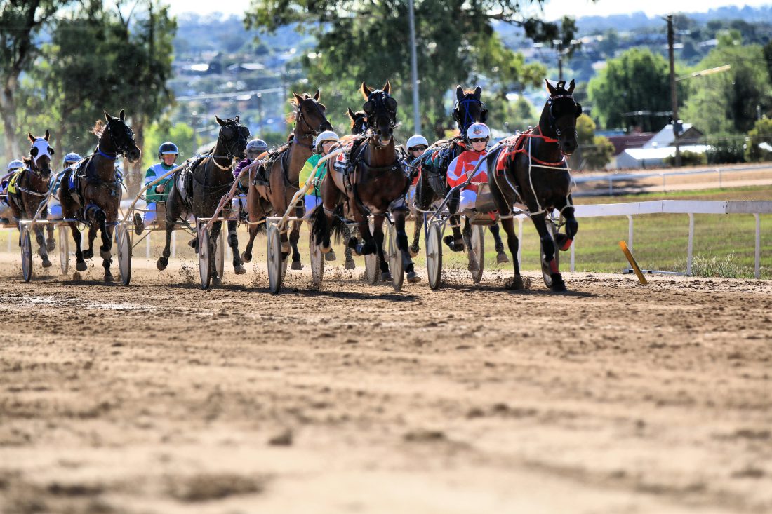 NSW Breeders Challenge Regional Series NSW Breeders Challenge & Trot NSW