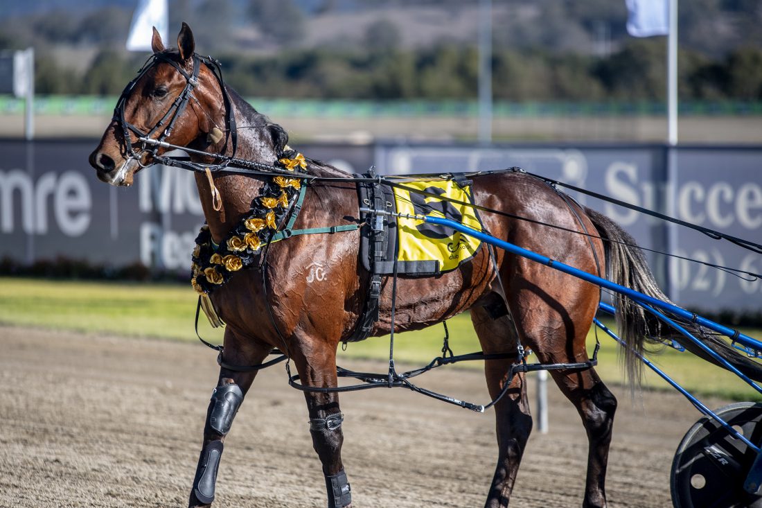 NSW Breeders Challenge & Trot NSW – NSW Breeders Challenge & Trot NSW